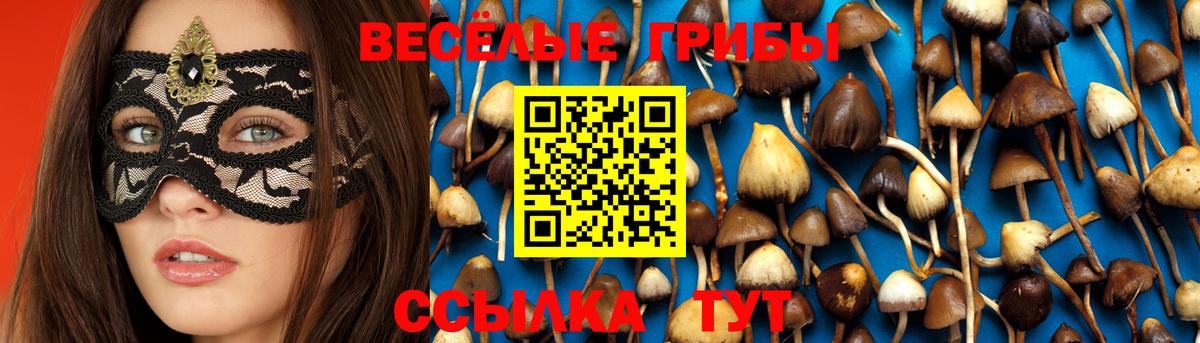 Псилоцибиновые грибы GOLDEN TEACHER  Псилоцибиновые грибы Psilocybe  Богородицк  Вход с VPN 